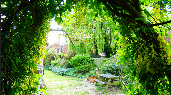 Open Garden Events