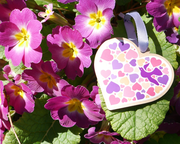 Brighter Tomorrows Bereavement Group