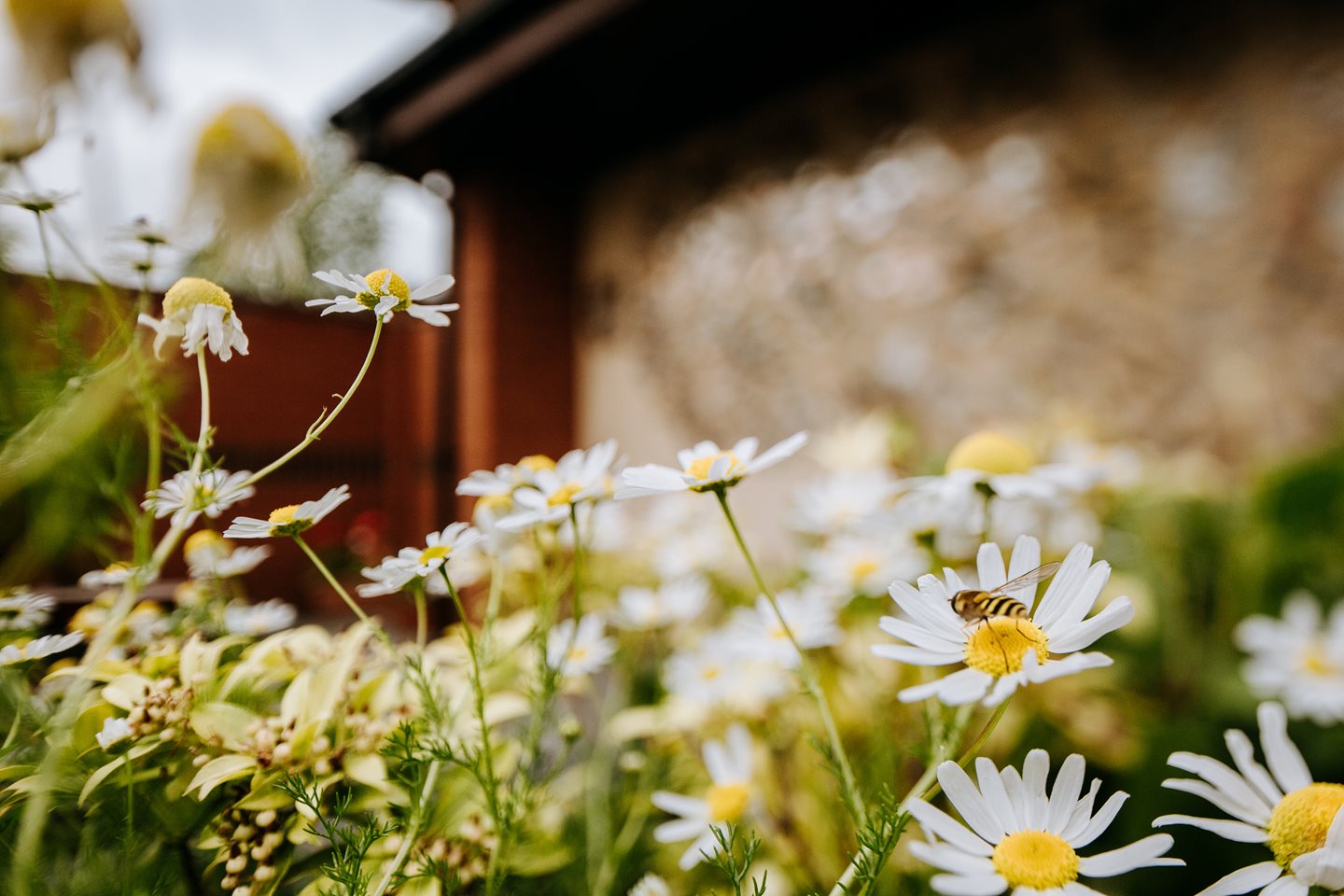 Set up a Memory Page