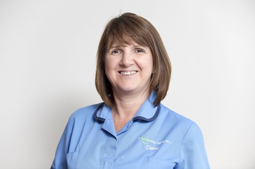 Day in the life - Elaine Longley