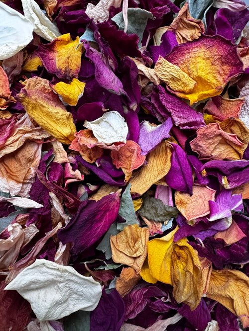 The Flower Box supports the hospice